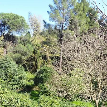 Spacious Close To An Amazing Sithonia * Vourvourou