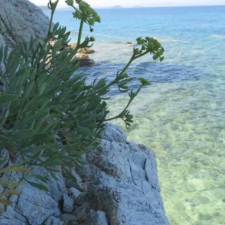 Spacious Close To An Amazing Sithonia