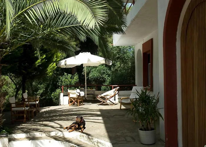 Spacious Close To An Amazing Sithonia * Вурвуру
