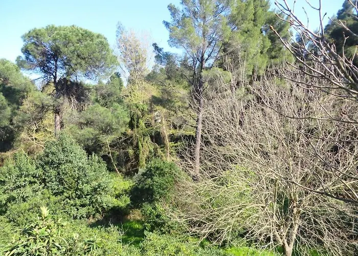 Spacious Close To An Amazing Sithonia * Вурвуру