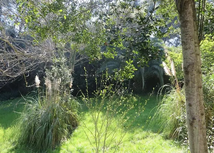 Spacious Close To An Amazing Sithonia