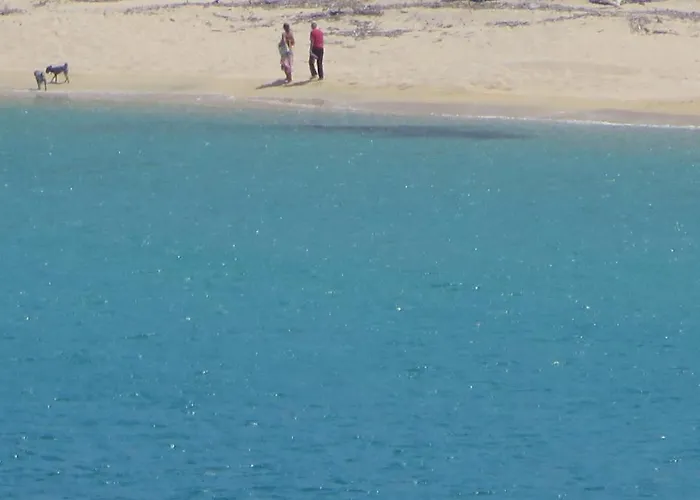 Feriehus Spacious Close To An Amazing Sithonia