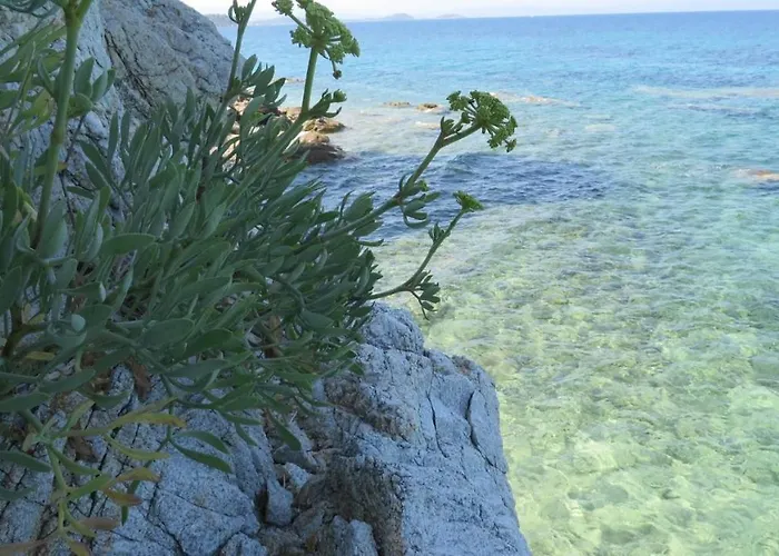 Spacious Close To An Amazing Sithonia